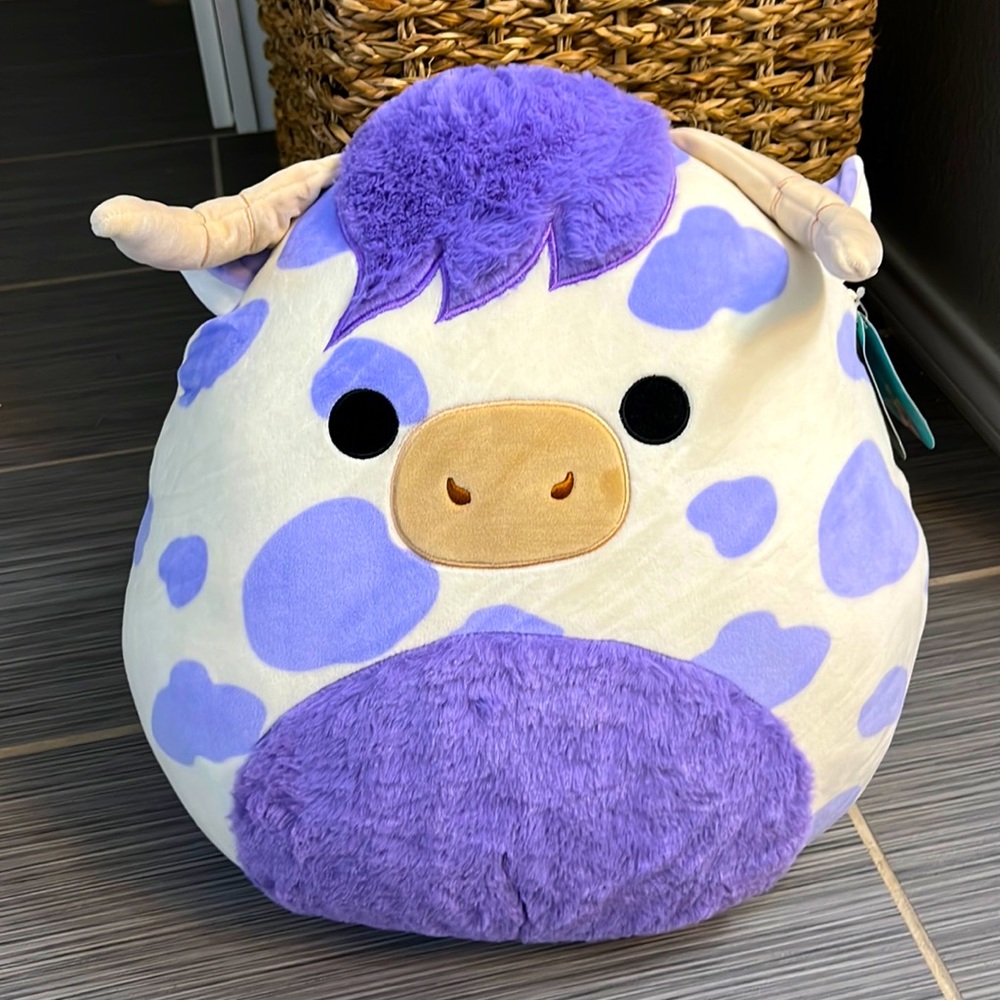 16” Conway Squishmallow